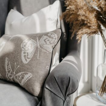 Clara with Black Piping